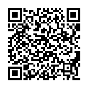 蛟无忌身边的邙海见到蛟无忌的神色的变化之后二维码生成