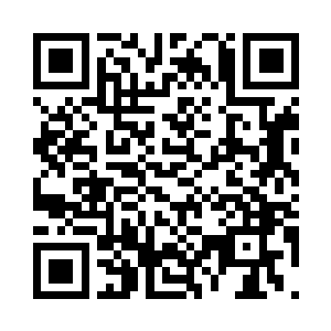 蛟龙强盗团的人愿不愿意放了我妹妹二维码生成