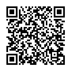 蛟龙强盗团的大当家是绝了新要琴沁这丫头和他儿子成亲二维码生成