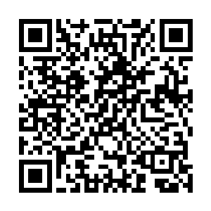 蛮荒大陆这届的最强大纹师天才就是这十个人中的一个了二维码生成