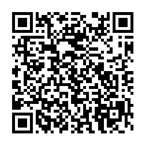 蜷缩着身体晕倒在地的一众界主强者也仿佛忽然从痛苦中解脱出来一般二维码生成
