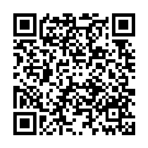 蜿蜒在山野间小路上就飘荡着孩子们稚气的嬉笑打闹声二维码生成