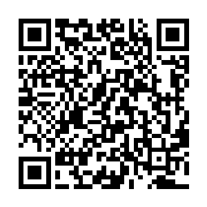 融于血河界壁上的万宝天则开始出现了第一丝的松动二维码生成