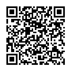 融入极光苍焱后的威力将不逊于上品中等圣域绝学二维码生成