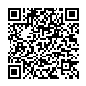 血妖姬们的查看随着大阵中最后的纯净能量的失去二维码生成