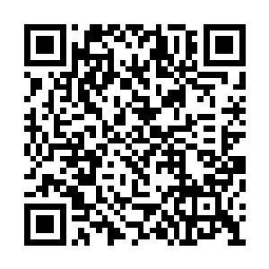 血幽紫看着流墨墨沉思忧虑的模样不由惊讶出声二维码生成