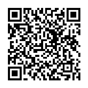 血幽紫看都没看那些神色略带不安悄然围拢过来的众宠二维码生成