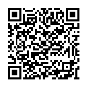 血族大公已经被伽诺打的遍体鳞伤并被踩在脚下二维码生成