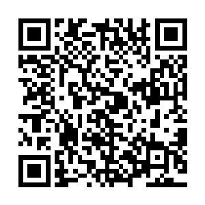 血族暗党中多了一名足以和明党中的威廉公爵抗衡的超级强者二维码生成