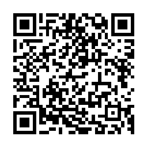 血海翻滚不止我看到了5米外铺天盖地的鬼脸蝎正往我这里冲来二维码生成