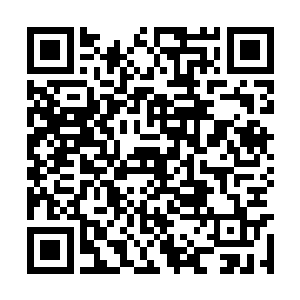 血腥女皇就觉得自己似乎在看一部战争的百科全书二维码生成