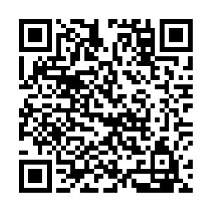 血誓契约对破虚境王者和一些强大的九重异象宗师来说二维码生成