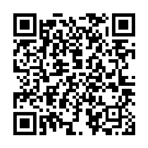 血魔女的那种压迫让人连最基本的反抗意识都无法浮现二维码生成