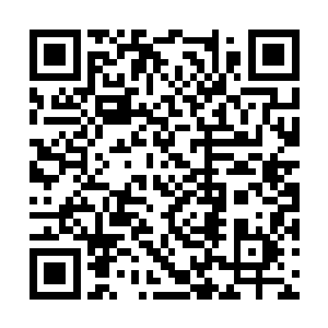 衍天镜……你是她的传人……她的传人……救命啊二维码生成