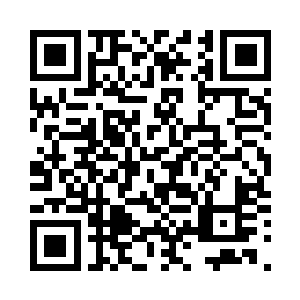 表小姐方才说红芽打碎了太子殿下的二维码生成