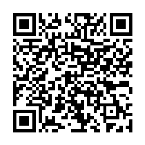 表演团的天罡星们咬着牙和赵玉山这些堂主们死磕二维码生成