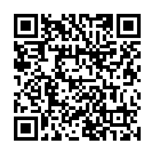 表面上是要孤注一掷去击碎奎克大副等人创造的新世界二维码生成