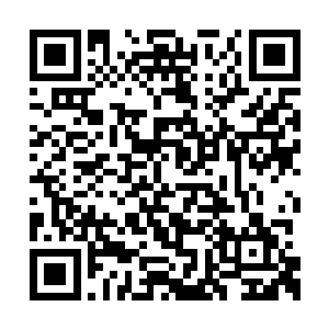 表面的情况是无法进了那位执法堂堂主的眼中的二维码生成