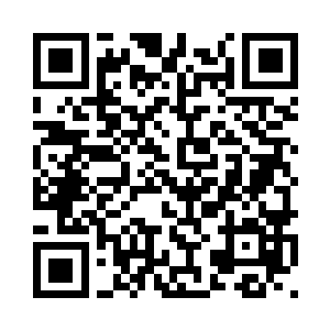 衬着院子里那棵金黄张扬的银杏树二维码生成