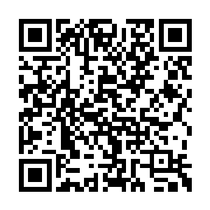 袁将军组织了几个营地的将士对大金进行了反攻二维码生成