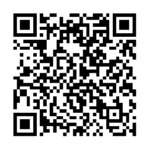 袁成芳和延川两人很快就出现在了食为天的视线当中二维码生成