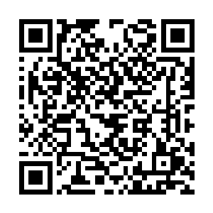 袁振华抬头看了看身边几个一直跟着自己的程序员二维码生成