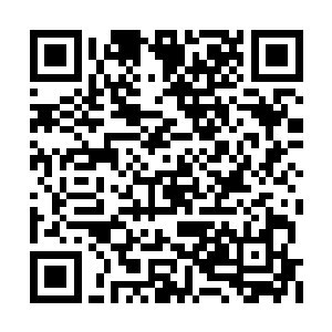 袁鸿的这个修为在整个神武帝国也算是一方高手二维码生成