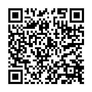 被下了主从血契的它现在就不可能还好好地站在这里二维码生成