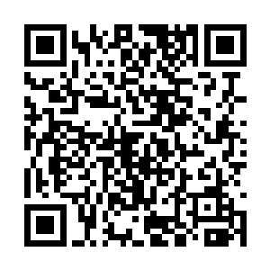 被丢到一边的九尾灵狐看着自己那一条丑丑的伤口二维码生成