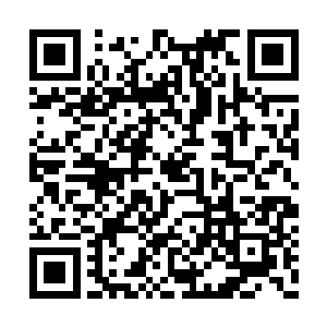 被人用白色的玫瑰摆出了iuy三个巨大的英文字母二维码生成