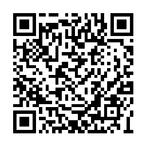 被从英国公府的族学中赶出来也知道的一清二楚二维码生成