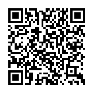 被从高台中释放出的密密麻麻神识迅速挑选完毕二维码生成