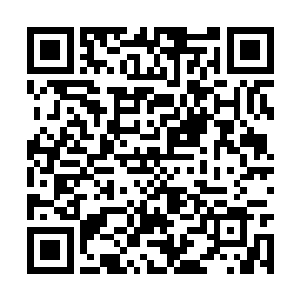 被他们挡在身后的汽车司机焦躁的将喇叭按的山响二维码生成