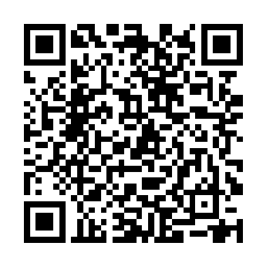 被他大哥提醒之后这个人也一下子从担忧中走了出来二维码生成