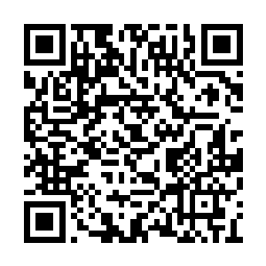 被他指尖上沾到的那血蛭顿时就扭曲抽搐了起来二维码生成