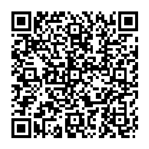 被他提在手里挡在身前的络腮胡子已经差不多变成了一堆被打得七零八碎的烂肉了二维码生成