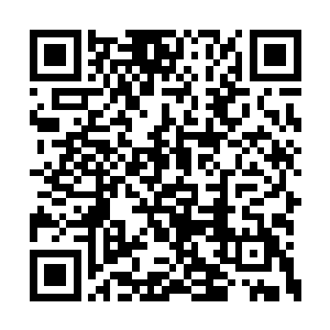被众人团团围住的凌菲并没有感觉有任何的不适二维码生成