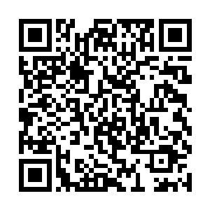 被军方带着去安排其他族人的赛亚王国的侍卫长鲁特二维码生成
