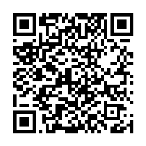 被发现被包围被围攻总不能不还手不逃跑被抓被打死吧二维码生成