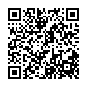 被嘲笑的这几名青年都不禁握紧了拳头怒目而视二维码生成