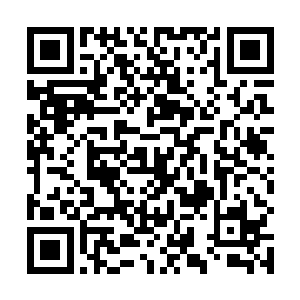 被夏字队召唤出来的六丁六甲仙卫也纷纷踏空出了城墙二维码生成