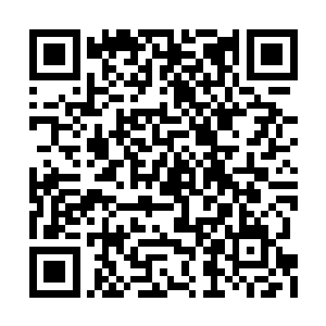 被奴心印奴役的那段记忆就充斥在白心脑海当中二维码生成