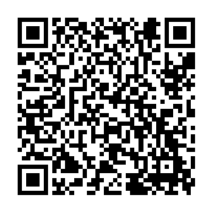 被它的气息压制的都不敢动弹一下的……可这个小东西却可以无视腾蛟的气势二维码生成