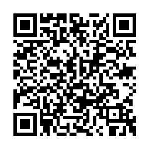 被射杀的羚羊就和被花豹抢食的那一头一模一样二维码生成