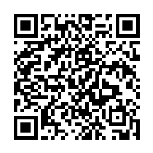 被当时昆仑派在外游历的大长老发现之后顿时惊为天人二维码生成