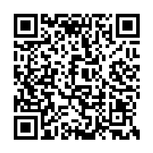 被我家小虎伤到用不了多久就会全身溃烂而死的二维码生成