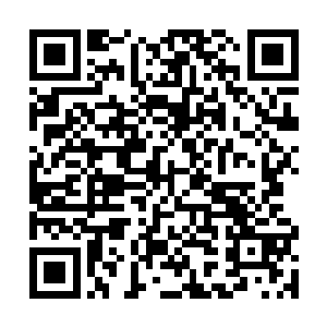 被挤进来··那外面那植物长得是有多密集茂盛啊二维码生成