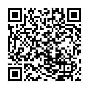 被捆仙索困地双手交负在后的苏落快速飞进了地壳薄弱处二维码生成