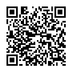 被撞士兵被那些枝干直接扎穿了外骨骼那层薄薄的装甲二维码生成