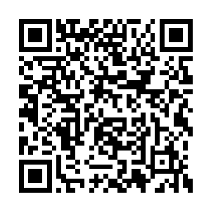 被李思辰拿来更改了保安队长身体里的阴阳五行二维码生成